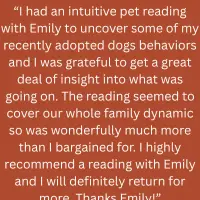 Client testimonial: an animal communication reading with Emily uncovered insight into a newly adopted dog's behavior and the whole family dynamic.